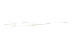 dried-small-popy-18.