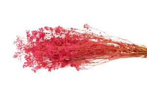 preserved-gypsophila-paniculata-6.