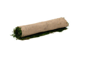 flexmoss-50-x-50-cm-21.