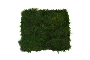 flexmoss-50-x-50-cm-21.