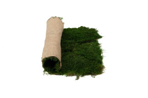 flexmoss-50-x-50-cm-21.