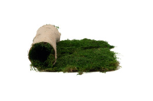 flexmoss-50-x-50-cm-21