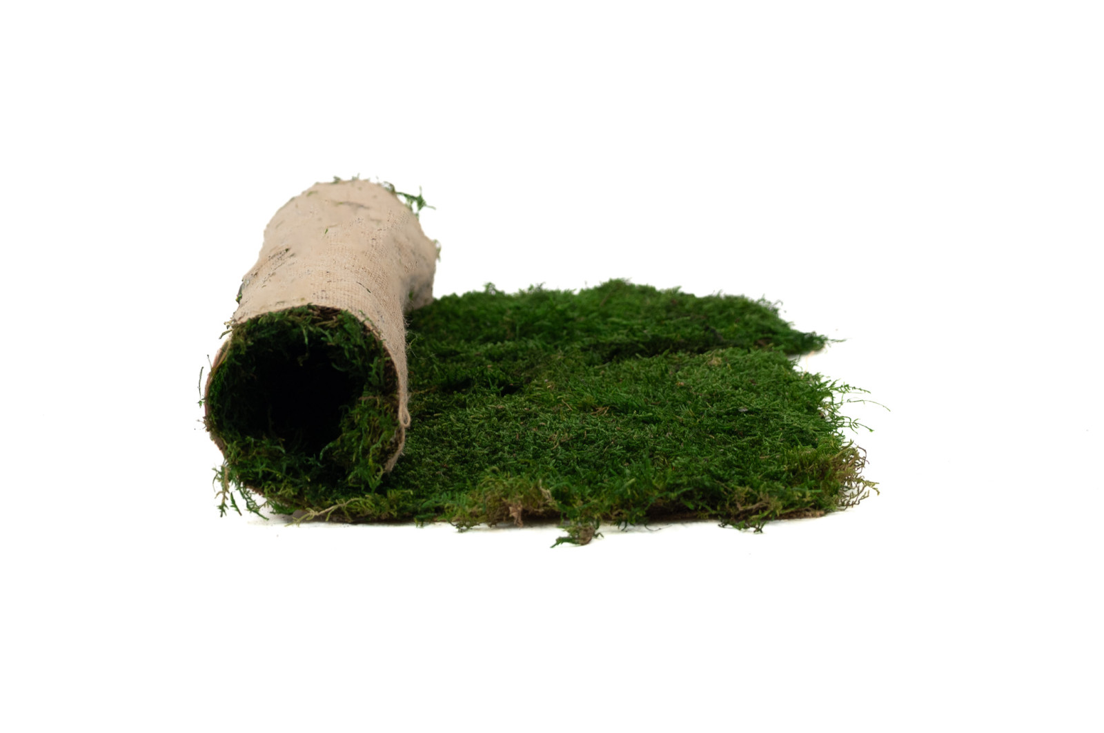 flexmoss-50-x-50-cm-21