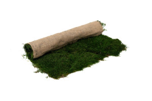flexmoss-50-x-50-cm-21.