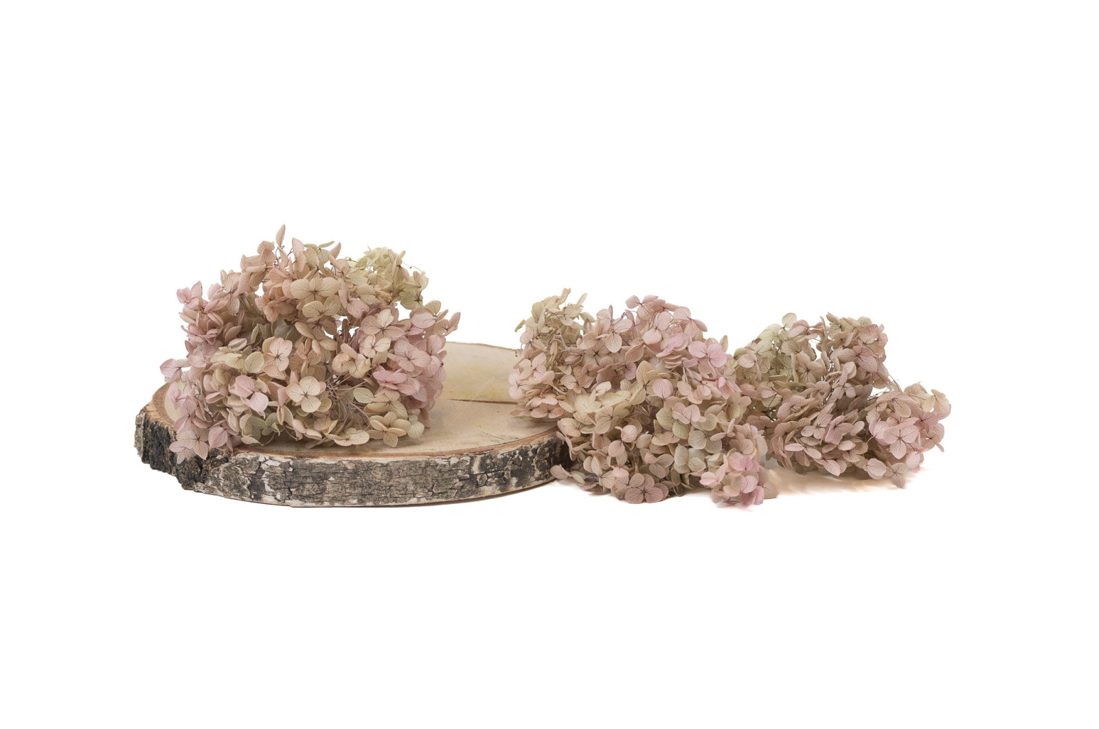 preserved-peegee-hydrangea-branch-30