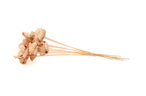 getrockener-palm-cup-flower-29.