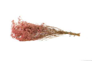 dried-gypsophila-14.