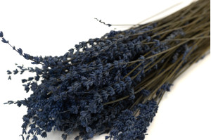 preserved-lavender-8