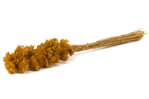 achillee-filipendula-seche-naturelle.
