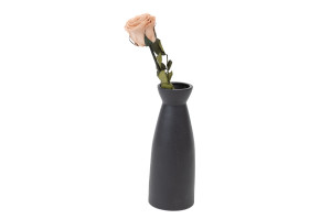rose-tigee-kiara-stabilisee-37.