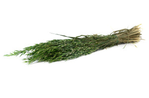 dried-oat-18.