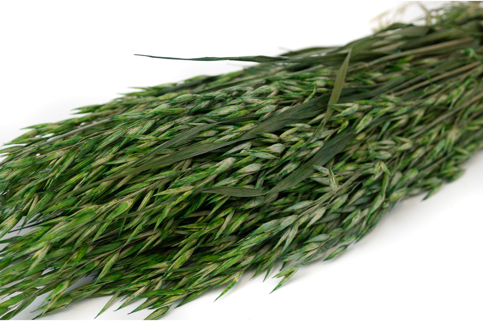 dried-oat-18
