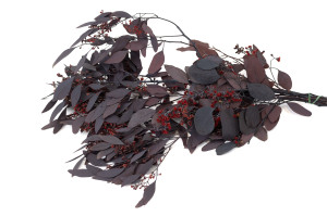 preserved-flowering-populus-eucalyptus-6.