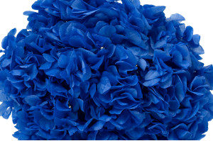 preserved-hydrangea-19.