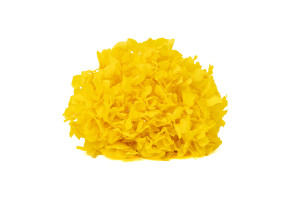 preserved-hydrangea-19.