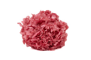 preserved-hydrangea-19.