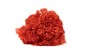 preserved-hydrangea-19.
