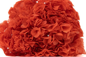 hortensia-stabilise-19.