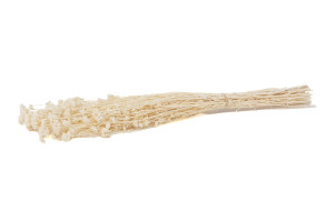 achillee-sylvestre-stabilisee-8.