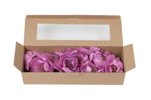 wild-peony-sola-flower-m-8.