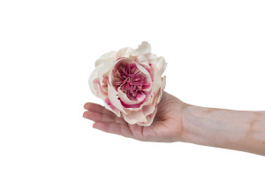 pivoine-sylvestre-sola-flower-m-8.