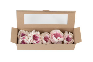 wild-peony-sola-flower-m-8.