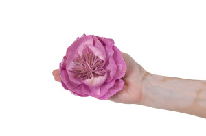 wild-peony-sola-flower-m-8.