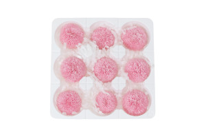 preserved-chrysanthemum-m-30.