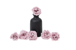 stabilisierte-majolica-rosas-30.