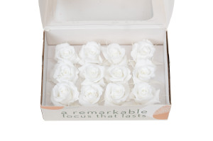 tetes-de-roses-stabilisees-m-9.