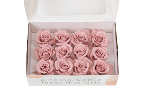 preserved-rose-heads-m-9.