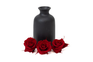 preserved-rose-heads-m-9.