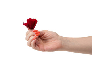 tetes-de-roses-stabilisees-m-9.