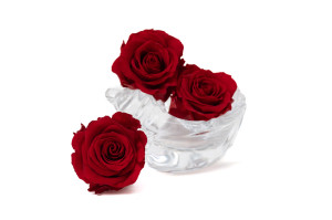 tetes-de-roses-stabilisees-l-9.