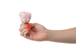 tetes-de-roses-stabilisees-l-9.