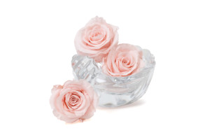 tetes-de-roses-stabilisees-l-9.