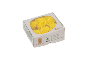 tetes-de-roses-stabilisees-l-9.