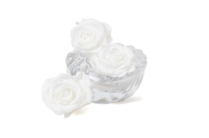 tetes-de-roses-stabilisees-l-9.