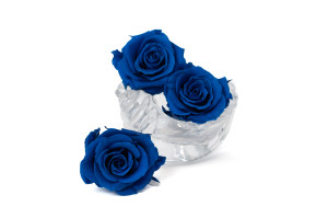 tetes-de-roses-stabilisees-l-9.