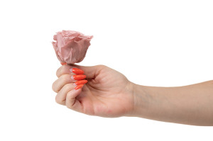 preserved-rose-heads-l-9.