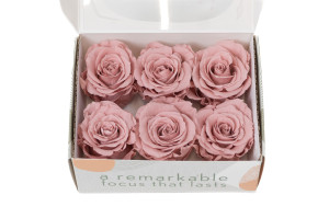 preserved-rose-heads-l-9.