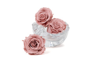 tetes-de-roses-stabilisees-l-9.