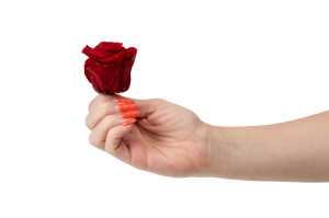 preserved-rose-heads-l-9.
