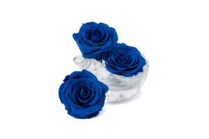 tetes-de-roses-stabilisees-xl-6-65cm-9.