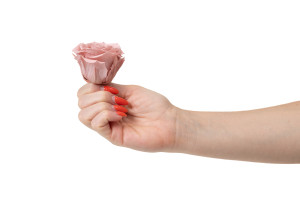 stabilisierte-rosenkopf-xl-6-65cm-9.