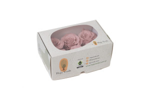 preserved-rose-heads-xl-6-65cm-9.