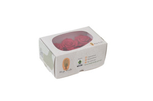 preserved-rose-heads-xl-6-65cm-9.