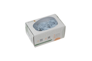 tetes-de-roses-stabilisees-xl-6-65cm-9.