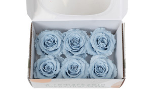 tetes-de-roses-stabilisees-xl-6-65cm-9.