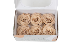 tetes-de-roses-stabilisees-xl-6-65cm-9.